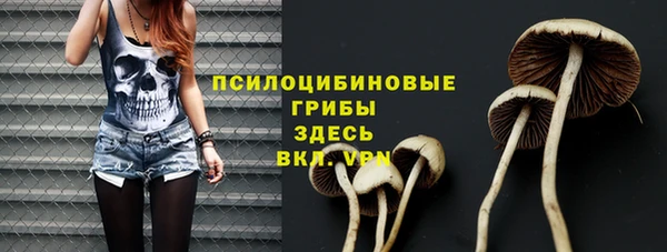 метадон Бородино