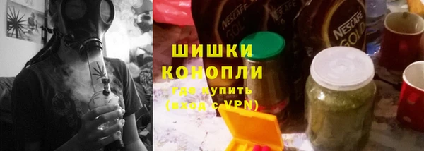стаф Богданович