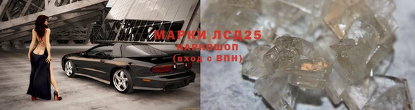 ПСИЛОЦИБИНОВЫЕ ГРИБЫ Богородск