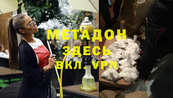 стаф Богданович