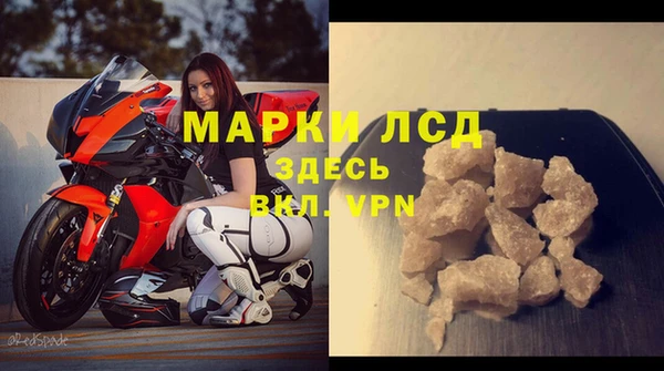 стаф Богданович