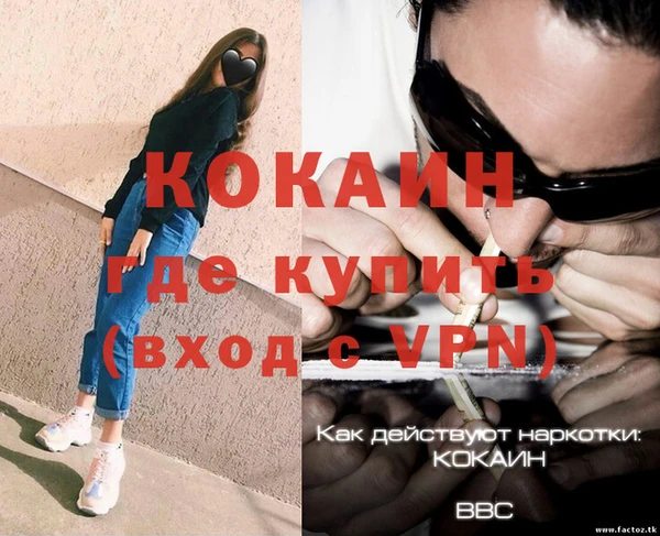 стаф Богданович