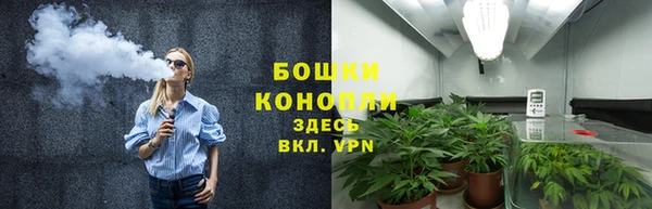 стаф Богданович